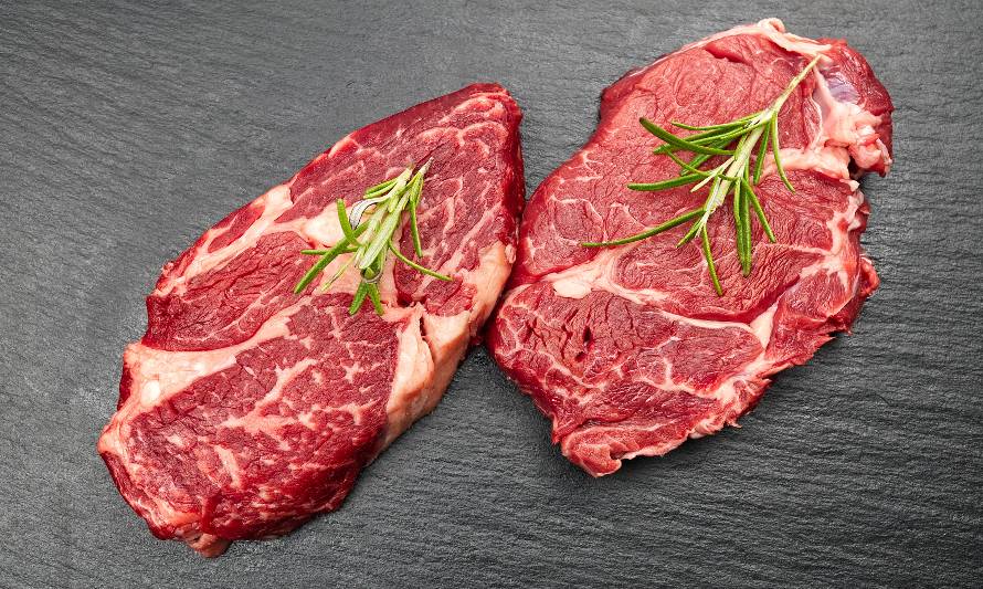Experto del INIA busca aumentar la grasa infiltrada de la carne producida en base a pradera