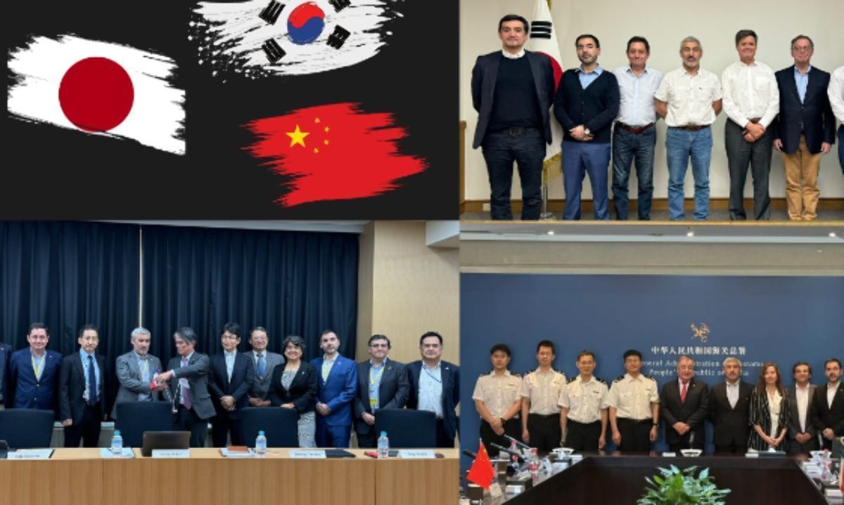 Misión Comercial de SAG y Chilecarne en Asia: avances en Japón, Corea del Sur y China