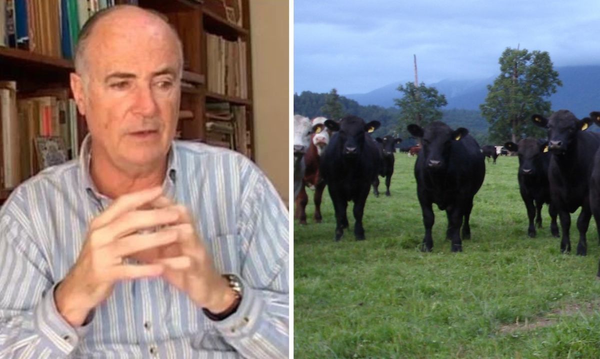 Invitan a encuentro: cadena productiva y comercial de carne bovina "Perspectivas Ganaderas 2025-2027"